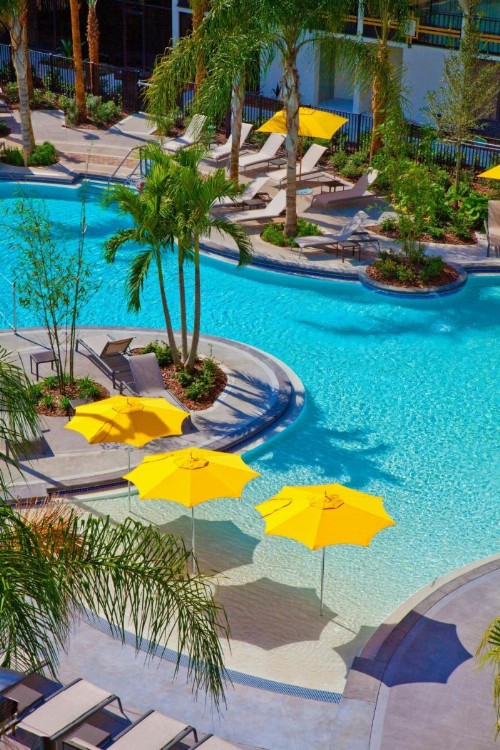 Sheraton Orlando Lake Buena Vista Resort Near Disney Springs - image 50