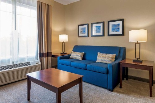 Comfort Suites Near Universal Orlando Resort - image 17