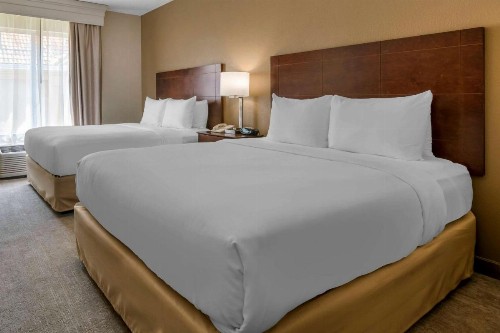 Comfort Suites Near Universal Orlando Resort - image 30
