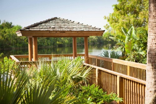 Marriott Orlando Airport Lakeside - image 27