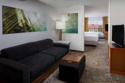 SpringHill Suites by Marriott Orlando Convention Center - image 13