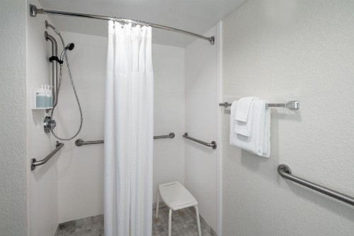 SpringHill Suites by Marriott Orlando Convention Center - image 17