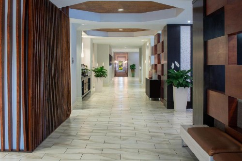 SpringHill Suites by Marriott Orlando Convention Center - image 3