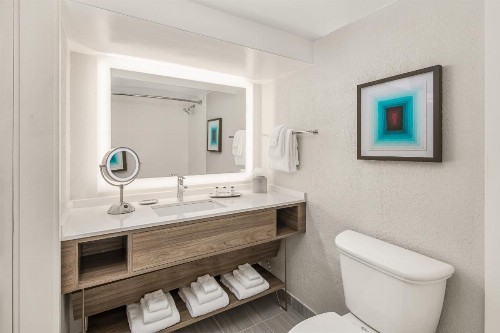 Crowne Plaza Orlando - Lake Buena Vista an IHG Hotel - image 33