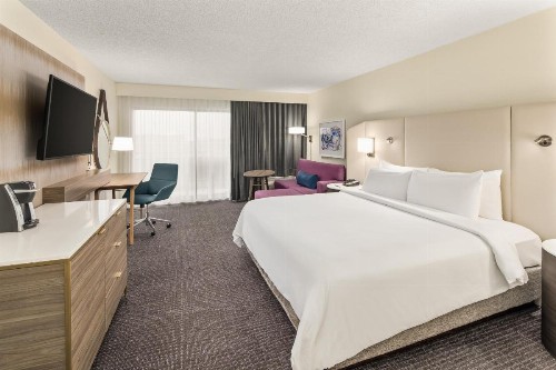 Crowne Plaza Orlando - Lake Buena Vista an IHG Hotel - image 6