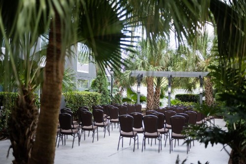 Holiday Inn & Suites Across From Universal Orlando an IHG Hotel - image 22