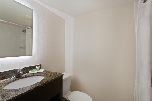 Holiday Inn & Suites Across From Universal Orlando an IHG Hotel - image 26