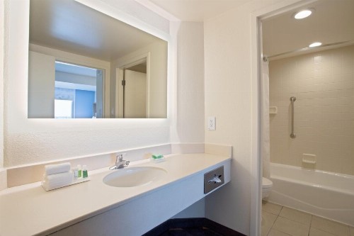 Holiday Inn & Suites Across From Universal Orlando an IHG Hotel - image 49