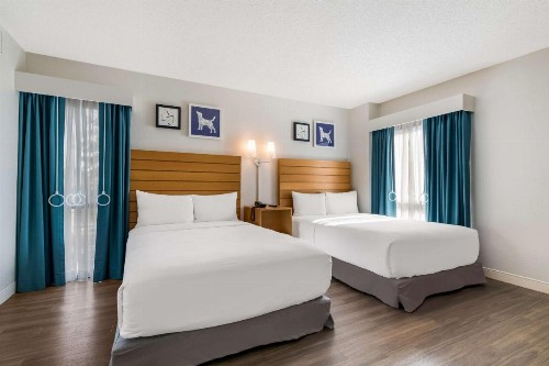 Sonesta ES Suites Orlando International Drive - image 10