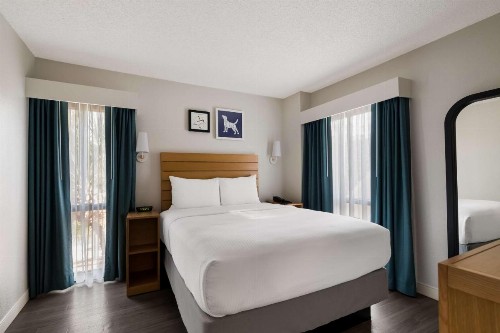 Sonesta ES Suites Orlando International Drive - image 15