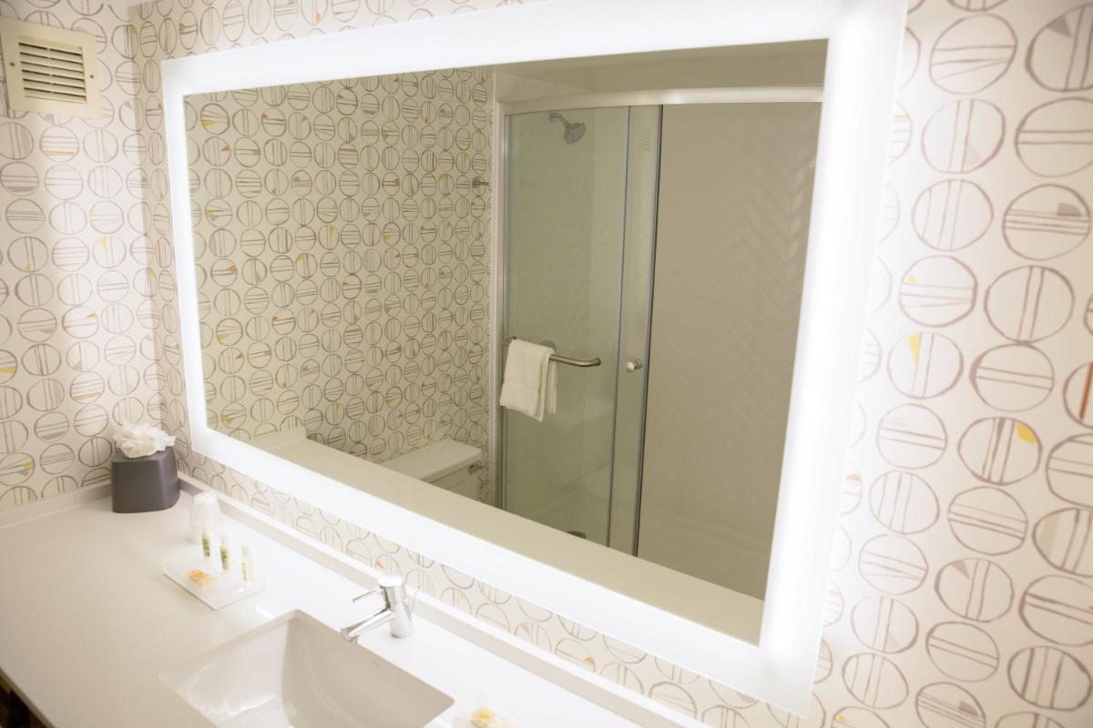 Holiday Inn Orlando International Airport an IHG Hotel - image 6