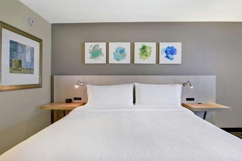Hilton Garden Inn Orlando Lake Buena Vista - image 28