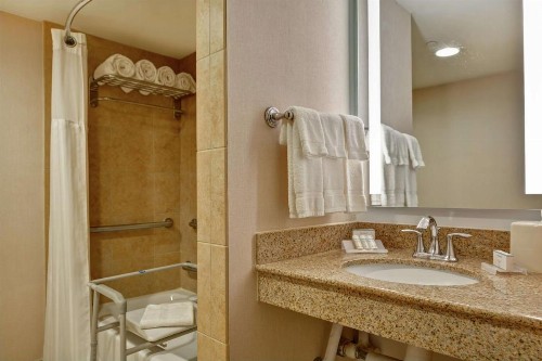 Hilton Garden Inn Orlando Lake Buena Vista - image 36