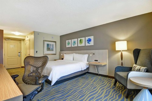 Hilton Garden Inn Orlando Lake Buena Vista - image 45