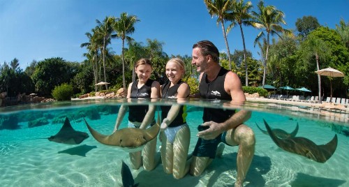 The Point Hotel & Suites Universal - image 44