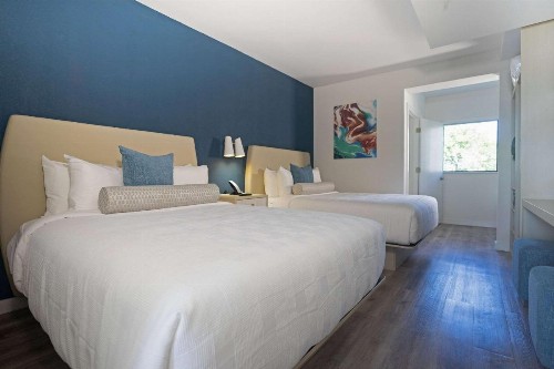 Quality Suites Orlando - image 37