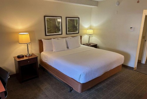 La Quinta by Wyndham Orlando South - image 11
