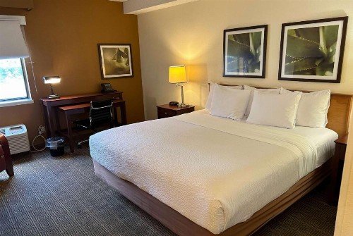 La Quinta by Wyndham Orlando South - image 13