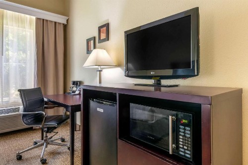 Comfort Inn International Drive - image 17
