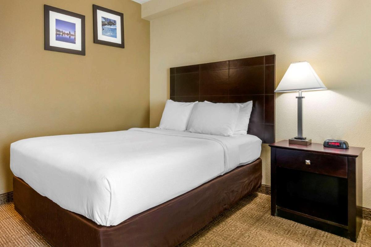 Comfort Inn International Drive - image 2