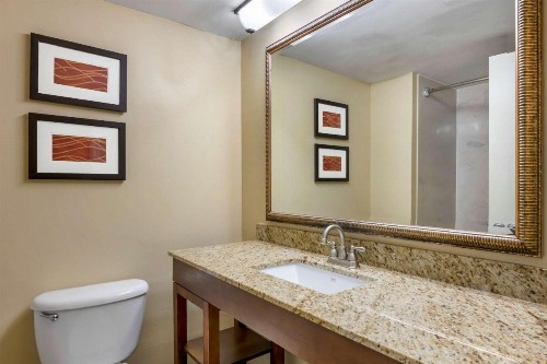 Comfort Inn International Drive - image 28