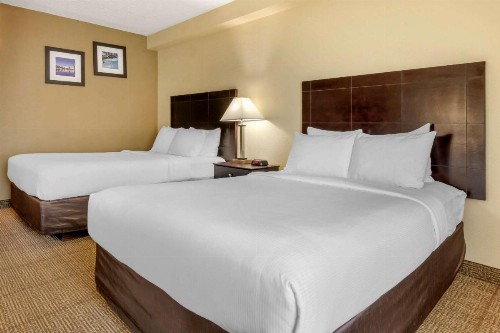 Comfort Inn International Drive - image 8