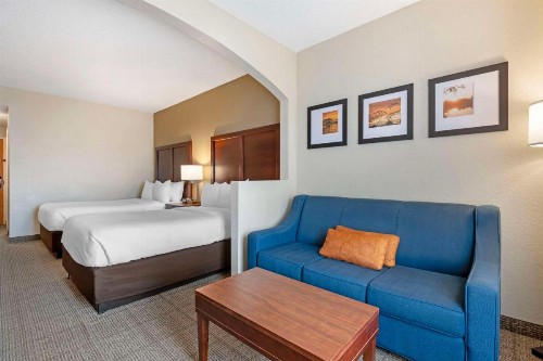 Comfort Suites Downtown - image 2
