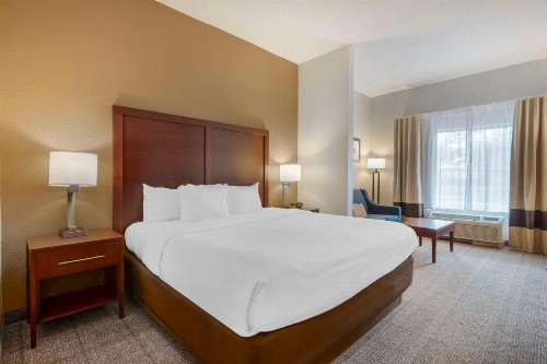 Comfort Suites Downtown - image 23