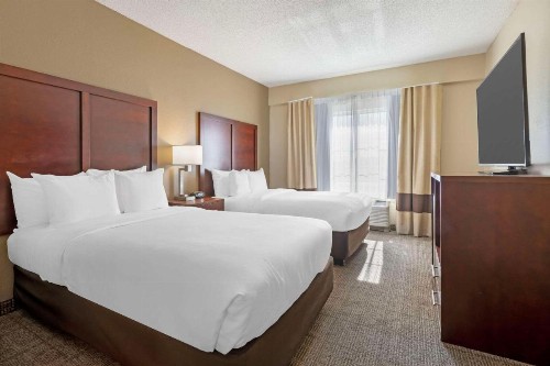Comfort Suites Downtown - image 24
