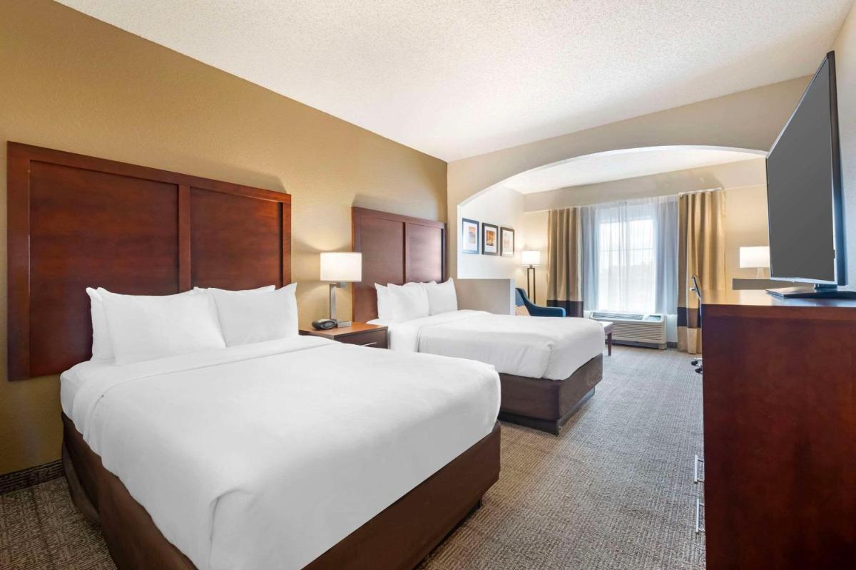 Comfort Suites Downtown - image 3