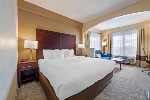 Comfort Suites Downtown - image 30