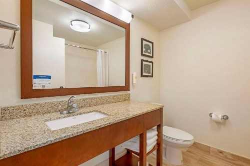 Comfort Suites Downtown - image 38