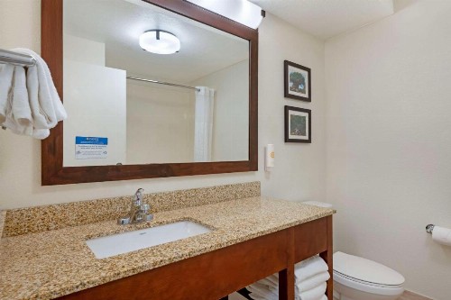 Comfort Suites Downtown - image 39