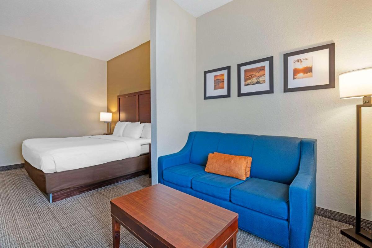 Comfort Suites Downtown - image 4