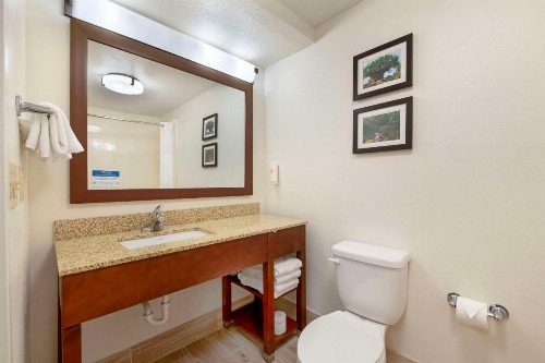 Comfort Suites Downtown - image 8