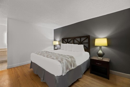 Howard Johnson by Wyndham Airport Florida Mall - image 7