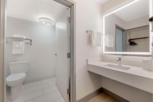 Comfort Inn & Suites Near Universal Orlando Resort-Convention Ctr - image 10