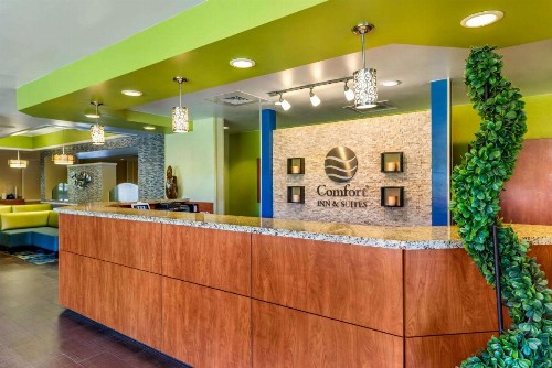 Comfort Inn & Suites Near Universal Orlando Resort-Convention Ctr - image 3