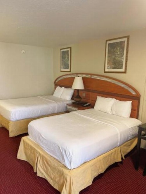 Quality Inn - image 43