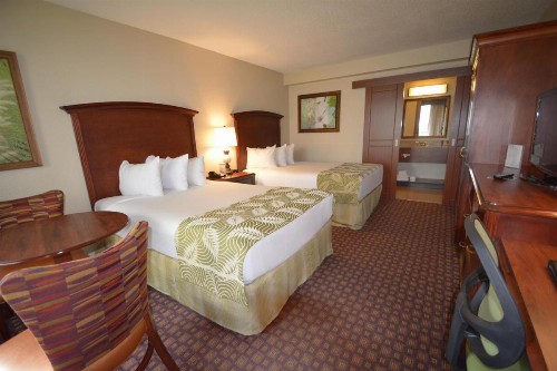 Rosen Inn Closest to Universal - image 27