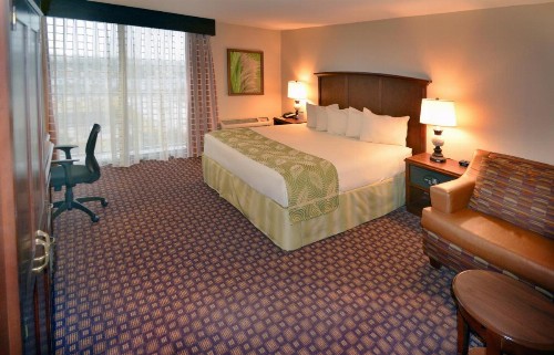 Rosen Inn Closest to Universal - image 42