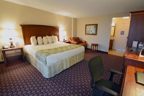 Rosen Inn Closest to Universal - image 46