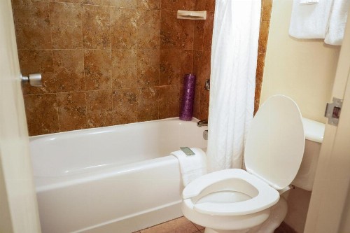 Rosen Inn Closest to Universal - image 49