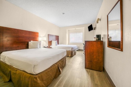 Floridian Hotel and Suites International Drive - image 12