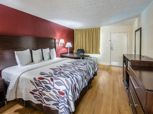 Red Roof Inn Orlando South - Florida Mall - image 14