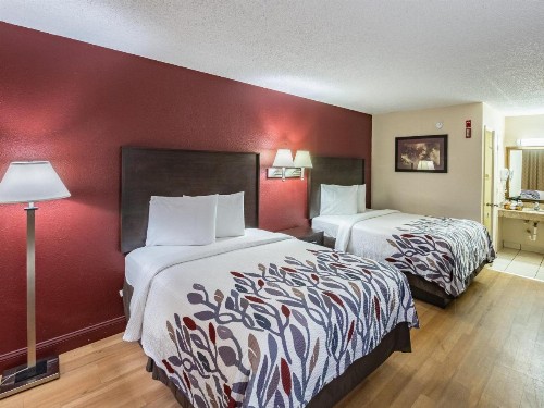 Red Roof Inn Orlando South - Florida Mall - image 18