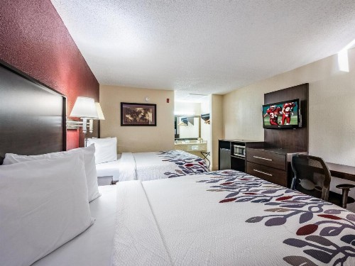 Red Roof Inn Orlando South - Florida Mall - image 19