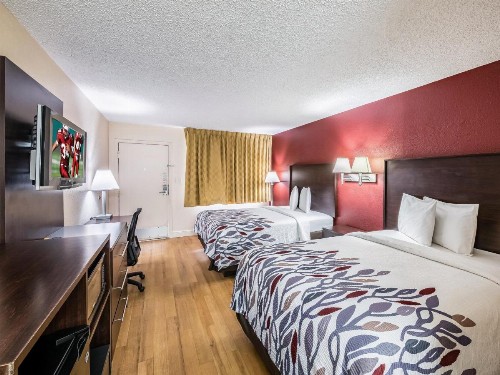 Red Roof Inn Orlando South - Florida Mall - image 21