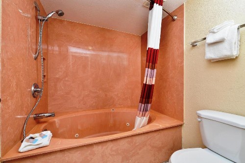 Red Roof Inn Orlando South - Florida Mall - image 27