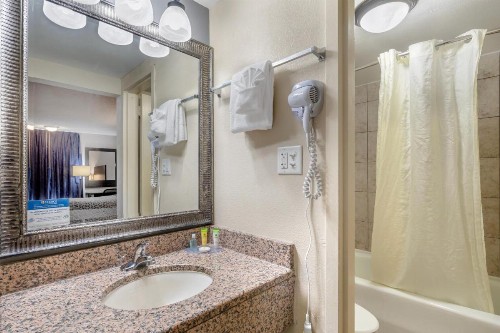 Econo Lodge International Drive - image 29